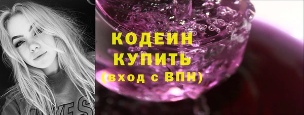 прущая мука Вяземский