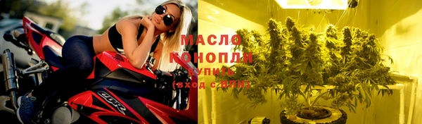 гидра Вязники