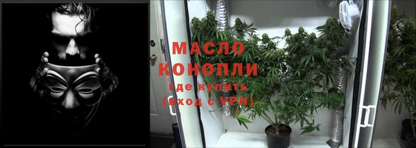 гидра Вязники