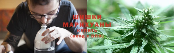 гидра Вязники