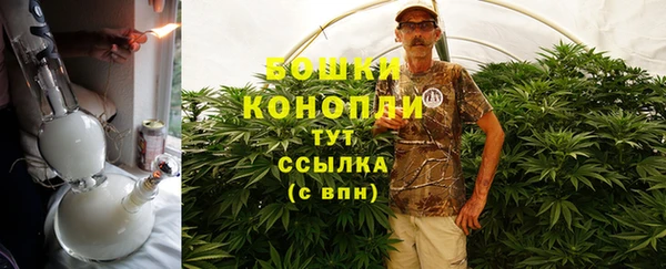 гидра Вязники