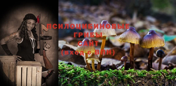 гидра Вязники