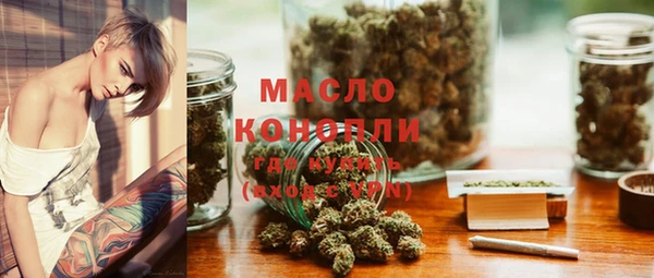 прущая мука Вяземский