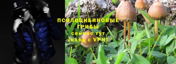 гидра Вязники