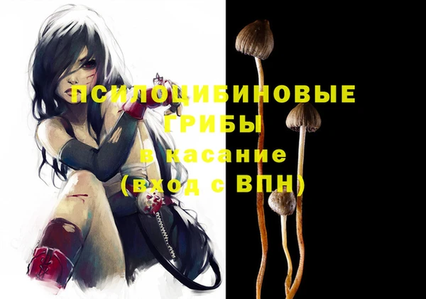 прущая мука Вяземский